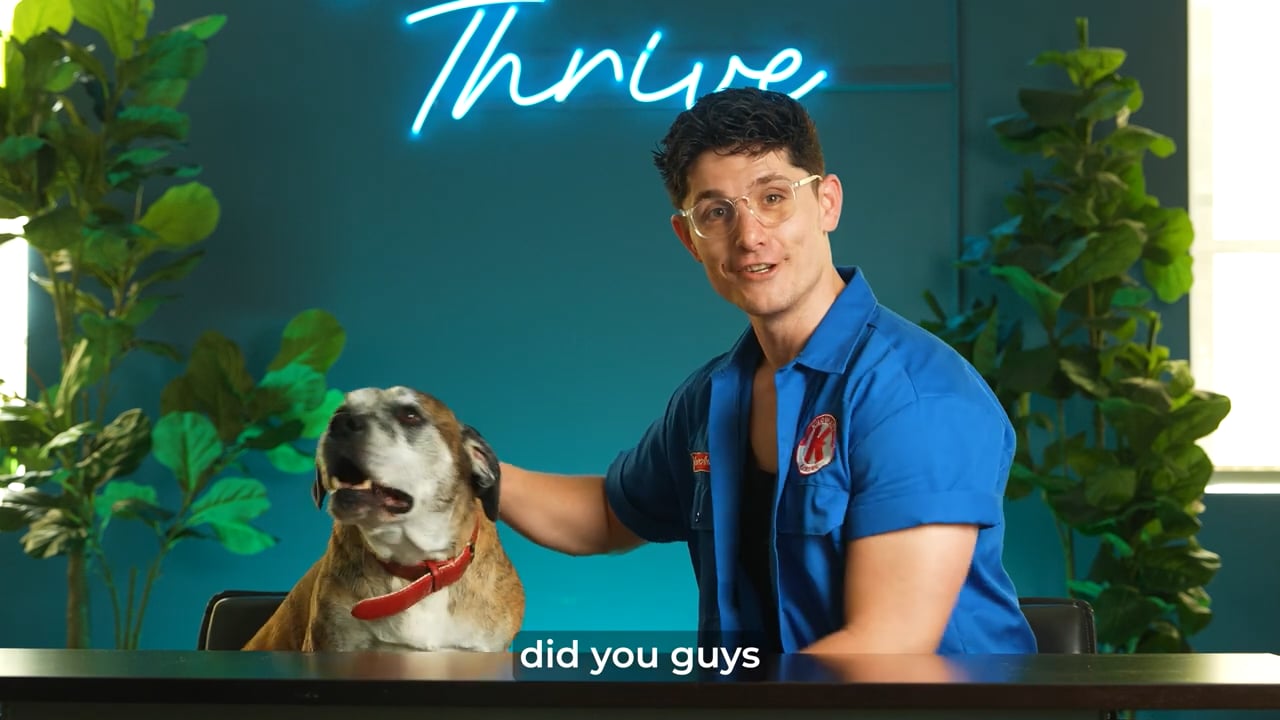 YouTube long-form